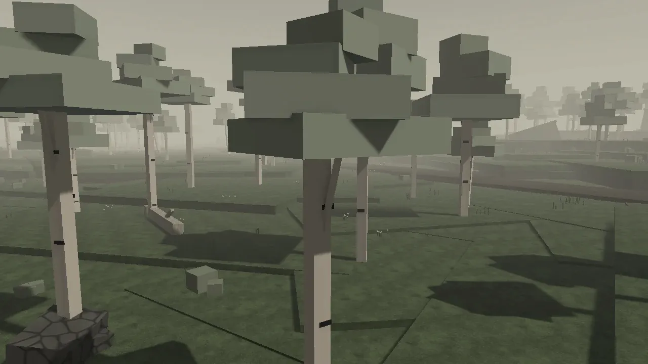 Pale birch-like trees in low fog